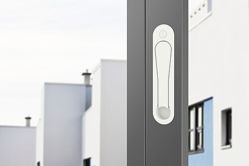 Roto Frank Manillas - Roto Freestyle